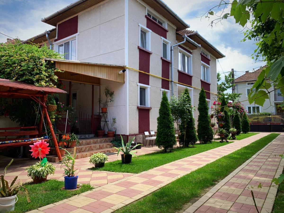 מלון Haţeg Casa Mary מראה חיצוני תמונה