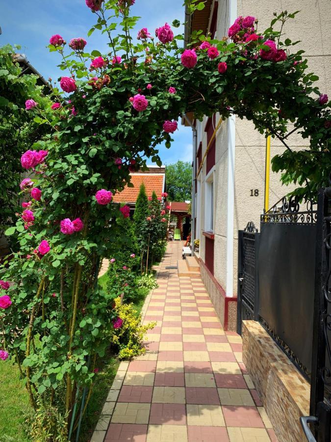מלון Haţeg Casa Mary מראה חיצוני תמונה